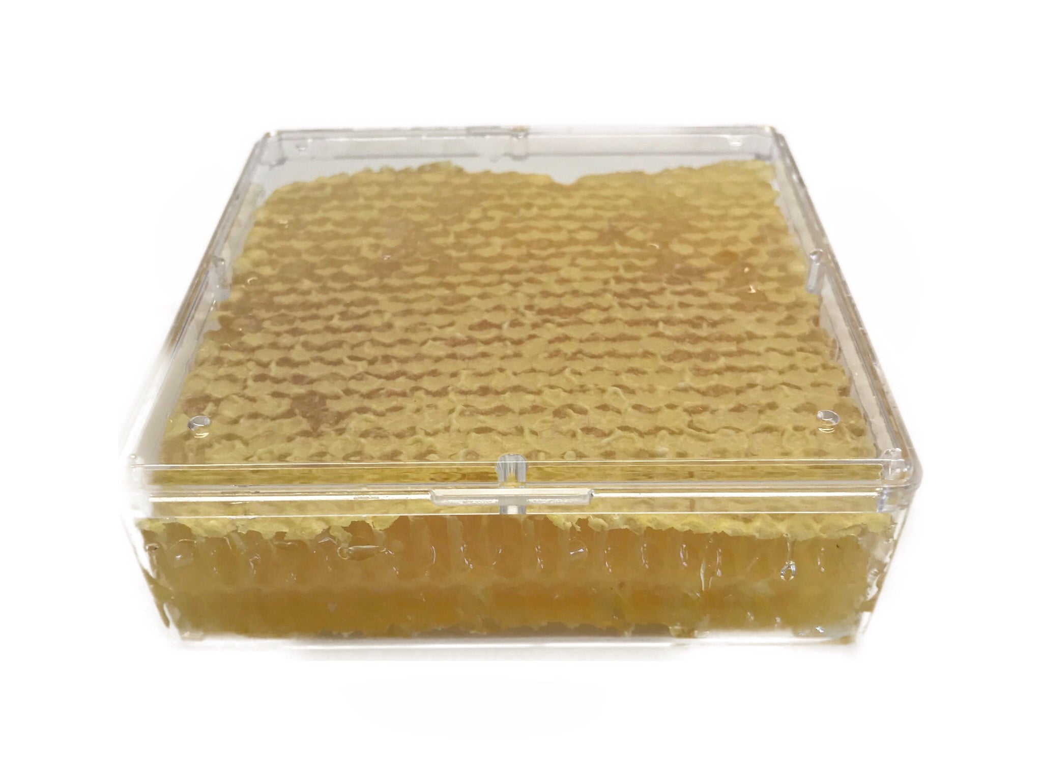 Honey Comb Square (click for size options) – BeeCountry